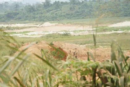 690df2ea1f2bc436082600d5 Minors in Activity Agroyesum Manso Adubia p 2000