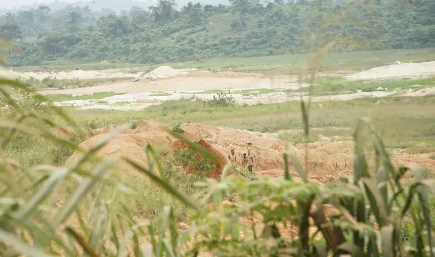 690df2ea1f2bc436082600d5 Minors in Activity Agroyesum Manso Adubia p 2000