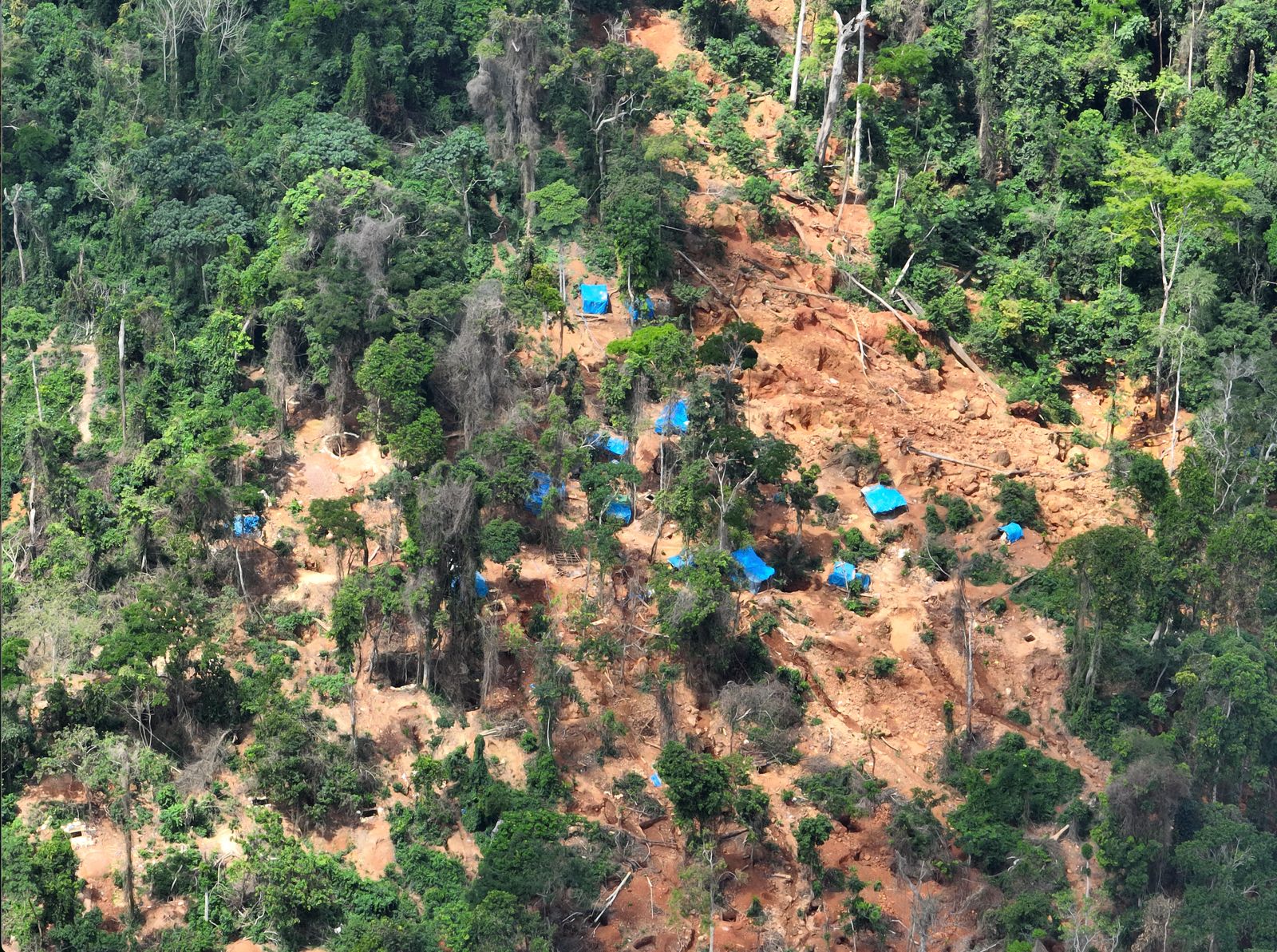 Gold Rush: Inside headwater Atewa, the source facing a slow, avoidable death 